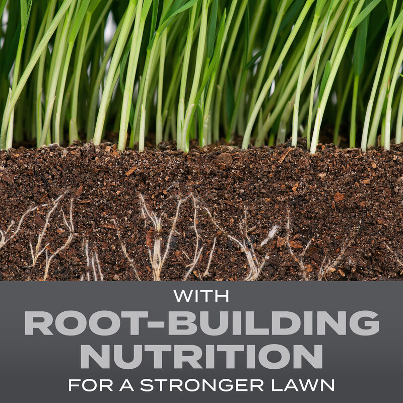 Scotts&reg; Turf Builder&reg; Grass Seed Pacific Northwest Mix image number null