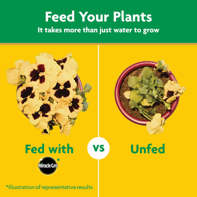 Miracle-Gro&reg; Moisture Control Potting Mix and Miracle-Gro&reg; Water Soluble All Purpose Plant Food image number null