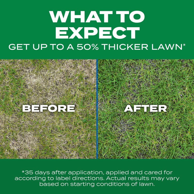Scotts&reg; Turf Builder&reg; Thick'R Lawn&reg; Sun & Shade image number null