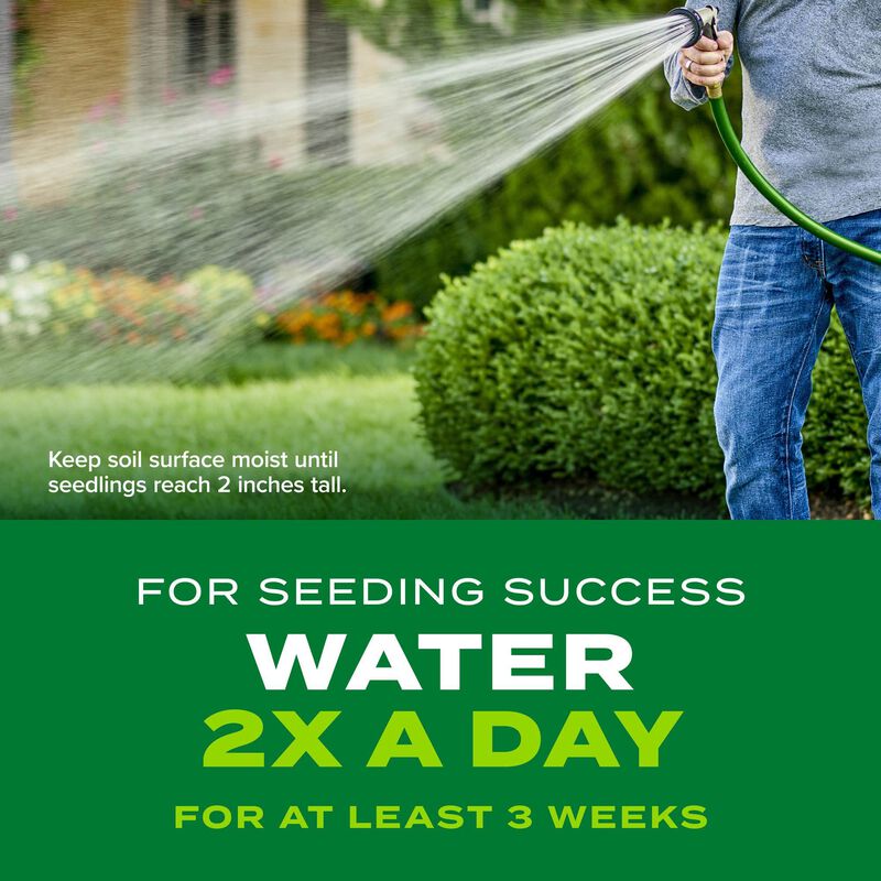 Scotts&reg; Turf Builder&reg; Rapid Grass&trade; Tall Fescue Mix image number null