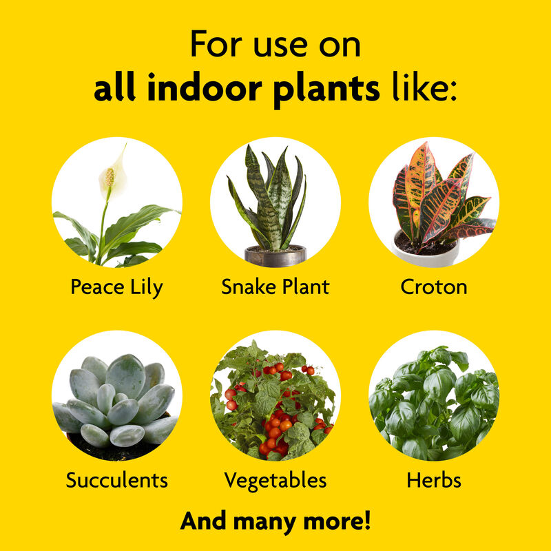 Miracle-Gro&reg; Indoor Plant Food image number null
