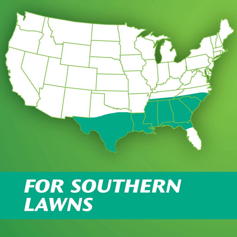 Scotts&reg; Turf Builder&reg; Grass Seed Centipede Grass Seed & Mulch image number null