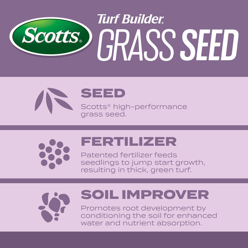 Scotts&reg; Turf Builder&reg; Grass Seed Perennial Ryegrass Mix image number null
