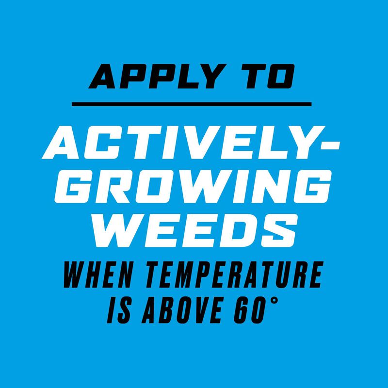 Ortho&reg; Groundclear&reg; Weed & Grass Killer Super Concentrate₁ image number null