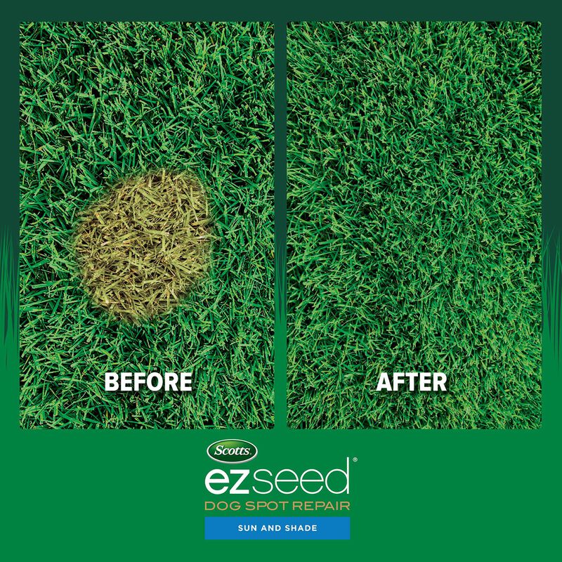 Scotts&reg; EZ Seed&reg; Dog Spot Repair Sun and Shade image number null