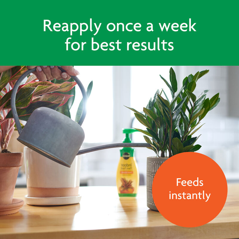 Miracle-Gro&reg; Indoor Plant Food image number null