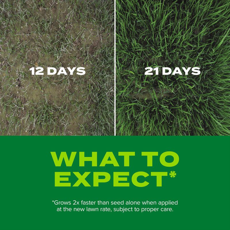 Scotts&reg; Turf Builder&reg; Rapid Grass&trade; Sun & Shade Mix image number null