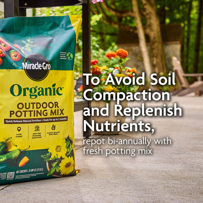 Miracle-Gro Organic&trade; Outdoor Potting Mix image number null