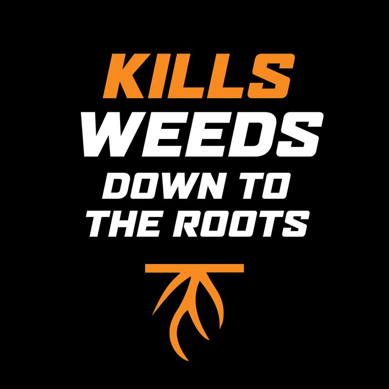 Ortho&reg; WeedClear&reg; Lawn Weed Killer Ready-To-Use image number null