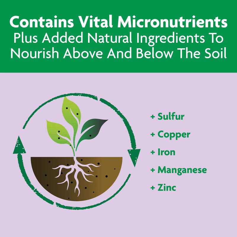 Miracle-Gro&reg; Shake 'n Feed Rose & Bloom Plant Food image number null