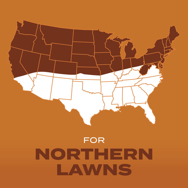 Scotts&reg; Turf Builder&reg; Grass Seed High Traffic Mix image number null