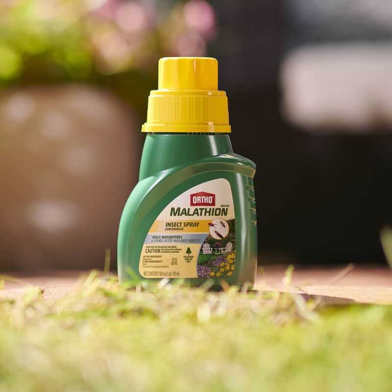 Ortho&reg; MAX&reg; Malathion Insect Spray Concentrate image number null