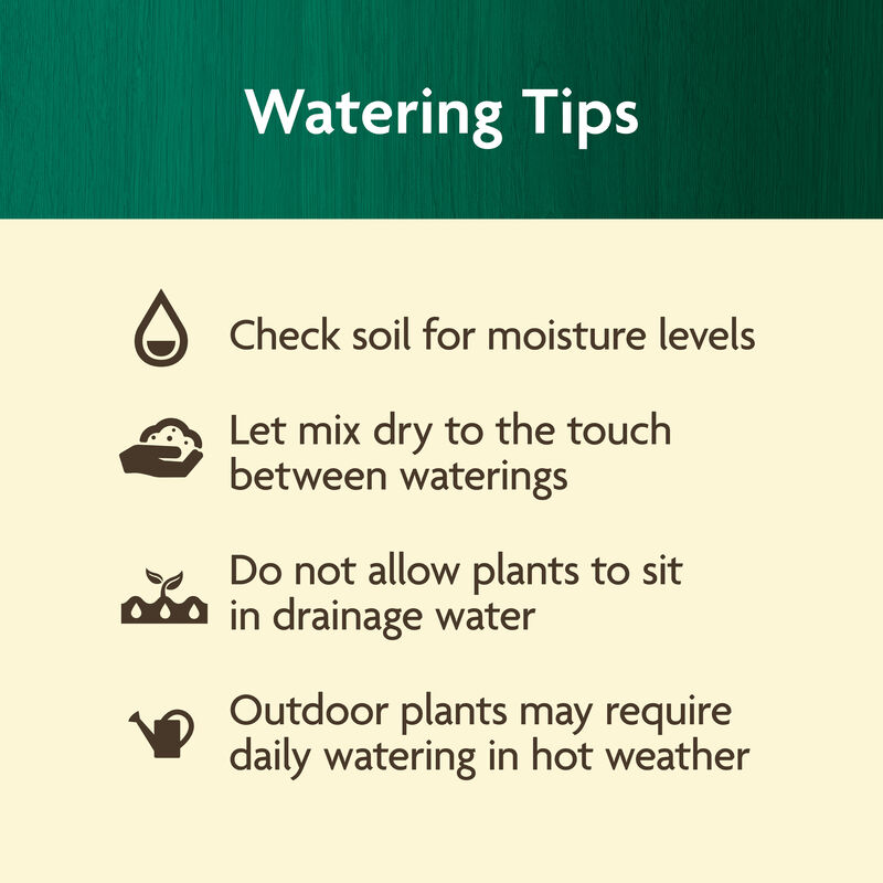 Miracle-Gro Organic&trade; Planting Tablets image number null