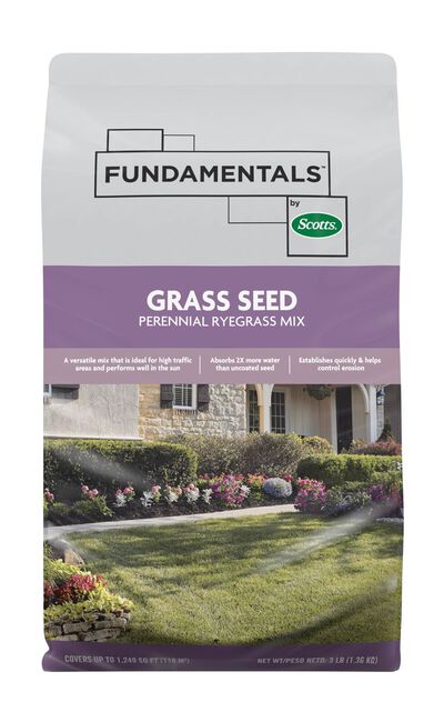 Fundamentals&trade; by Scotts&reg; Grass Seed Perennial Ryegrass Mix