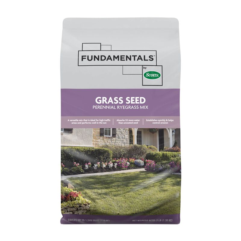 Fundamentals&trade; by Scotts&reg; Grass Seed Perennial Ryegrass Mix image number null