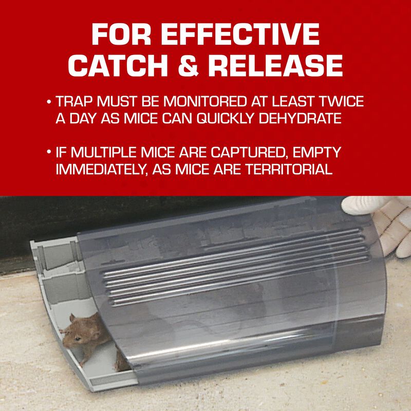 Tomcat&reg; Multi-Catch Mouse Trap image number null