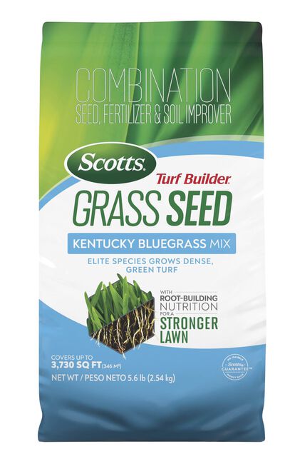 Scotts&reg; Turf Builder&reg; Grass Seed Kentucky Bluegrass Mix