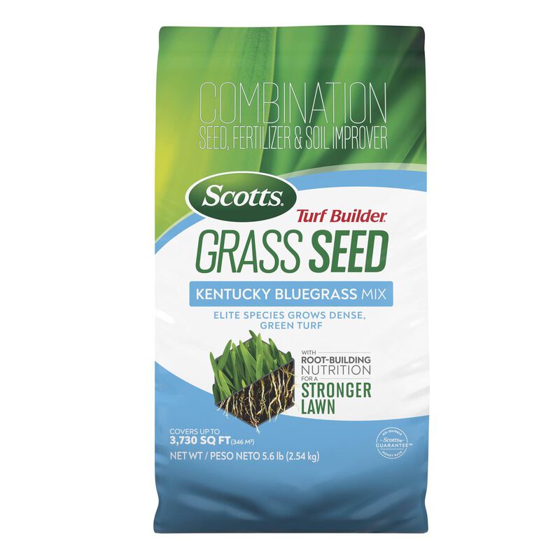 Scotts&reg; Turf Builder&reg; Grass Seed Kentucky Bluegrass Mix image number null