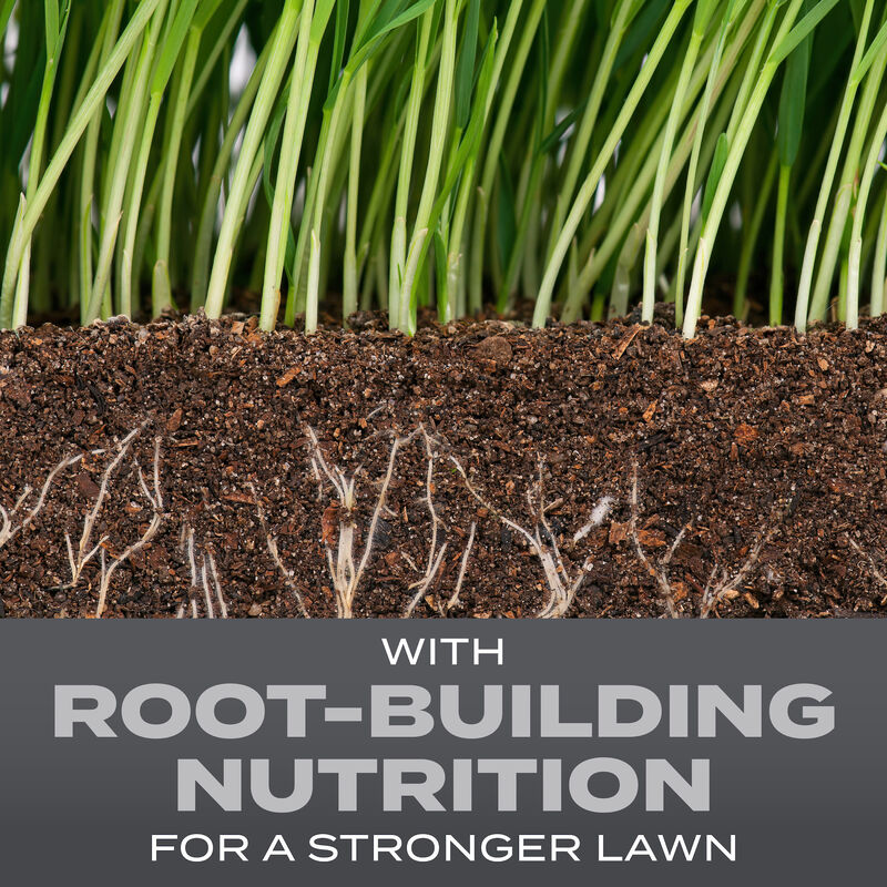 Scotts&reg; Turf Builder&reg; Grass Seed Pennsylvania State Mix image number null