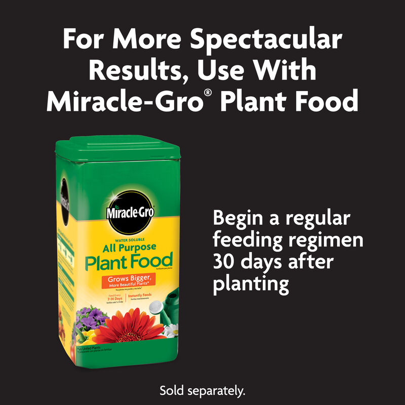 Miracle-Gro&reg; Expand 'N Gro Concentrated Planting Mix 0.33CF image number null