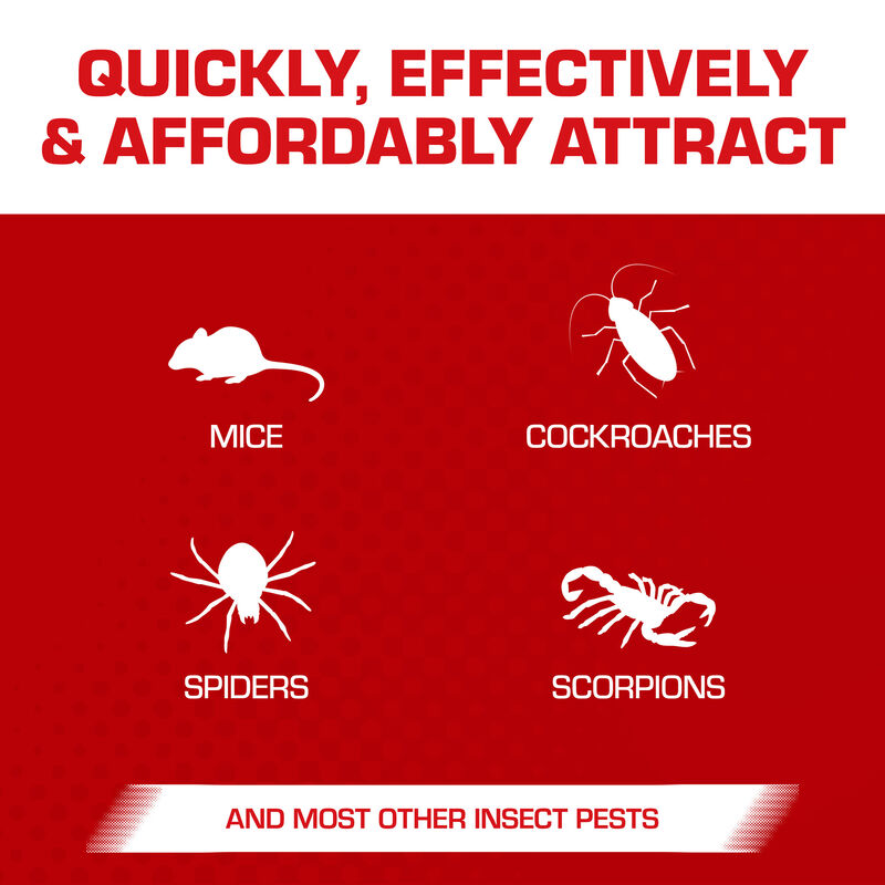 Tomcat&reg; Super Hold Glue Traps Mouse Size image number null