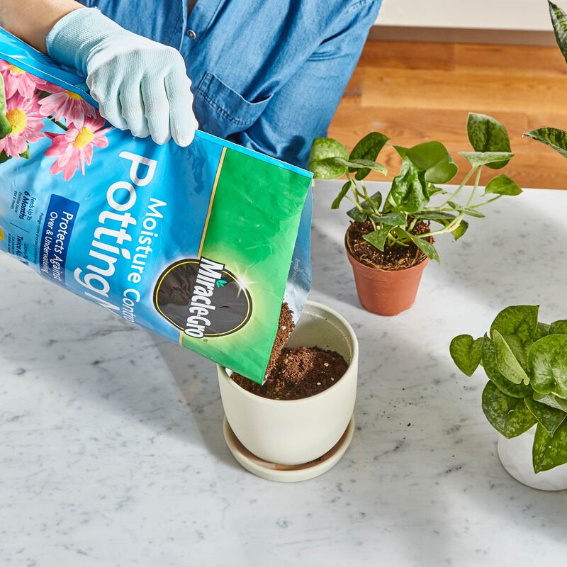 Miracle-Gro&reg; Moisture Control Potting Mix and Miracle-Gro&reg; Water Soluble All Purpose Plant Food image number null