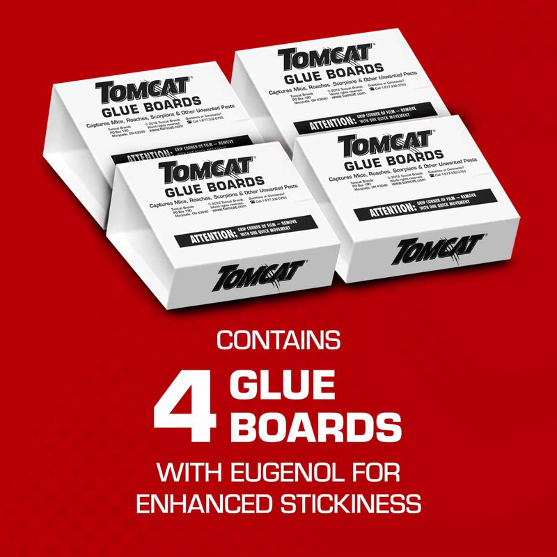 Tomcat&reg; Glue Boards with Eugenol for Enhanced Stickiness image number null