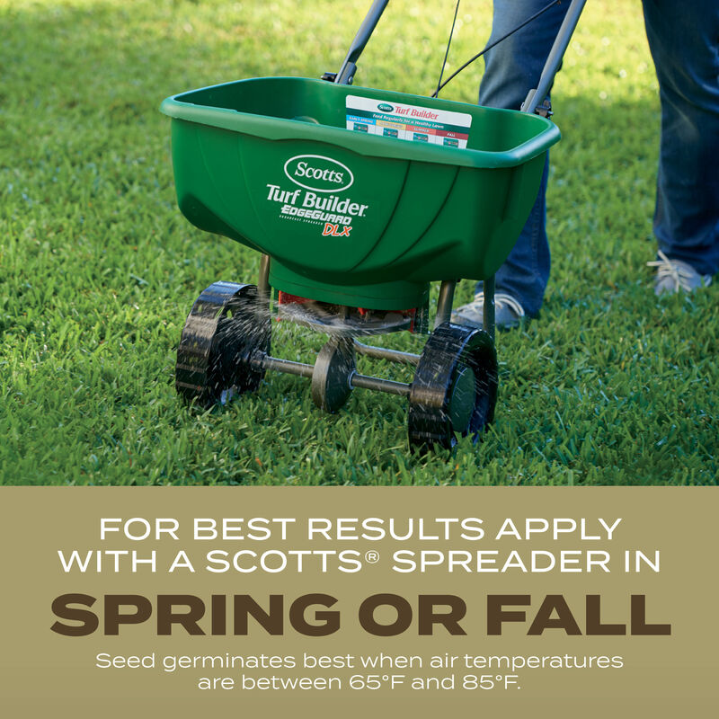 Scotts&reg; Turf Builder&reg; Grass Seed Southern Gold&reg; Mix for Tall Fescue Lawns image number null