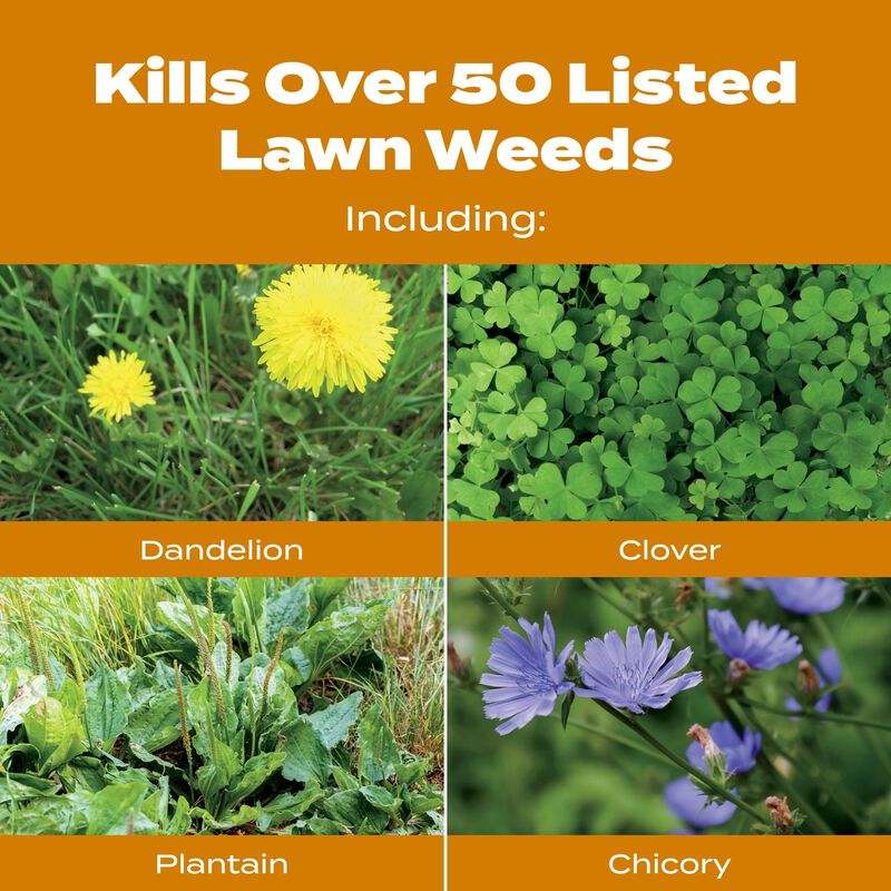 Scotts&reg; Turf Builder&reg; WinterGuard&reg; Fall Weed & Feed₅ image number null