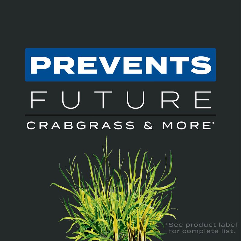 Scotts&reg; Turf Builder&reg; Triple Action₁ image number null