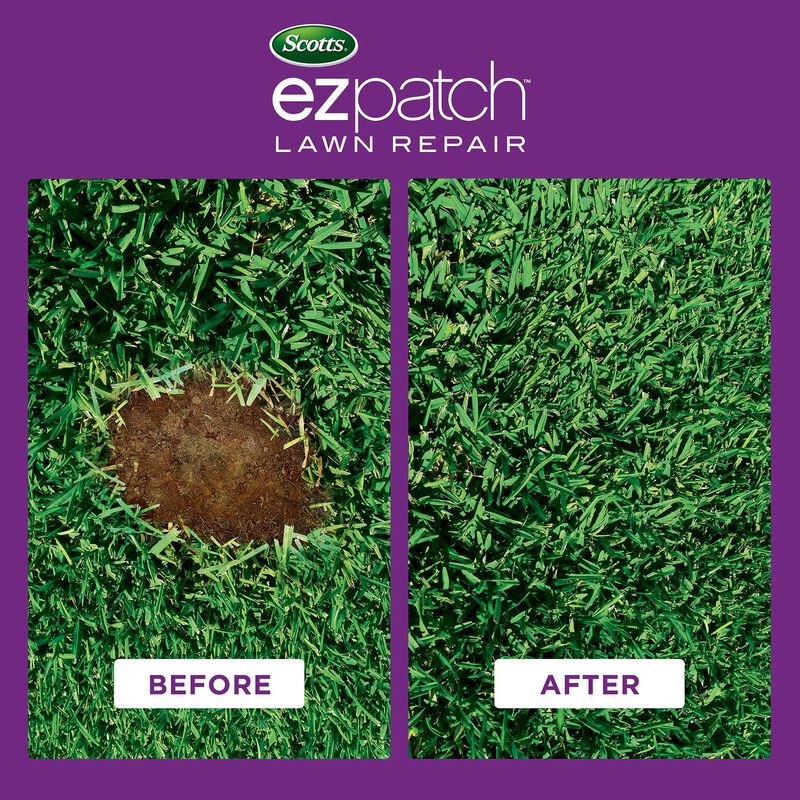 Scotts&reg; EZ Patch&trade;️ Lawn Repair for St. Augustine Lawns image number null
