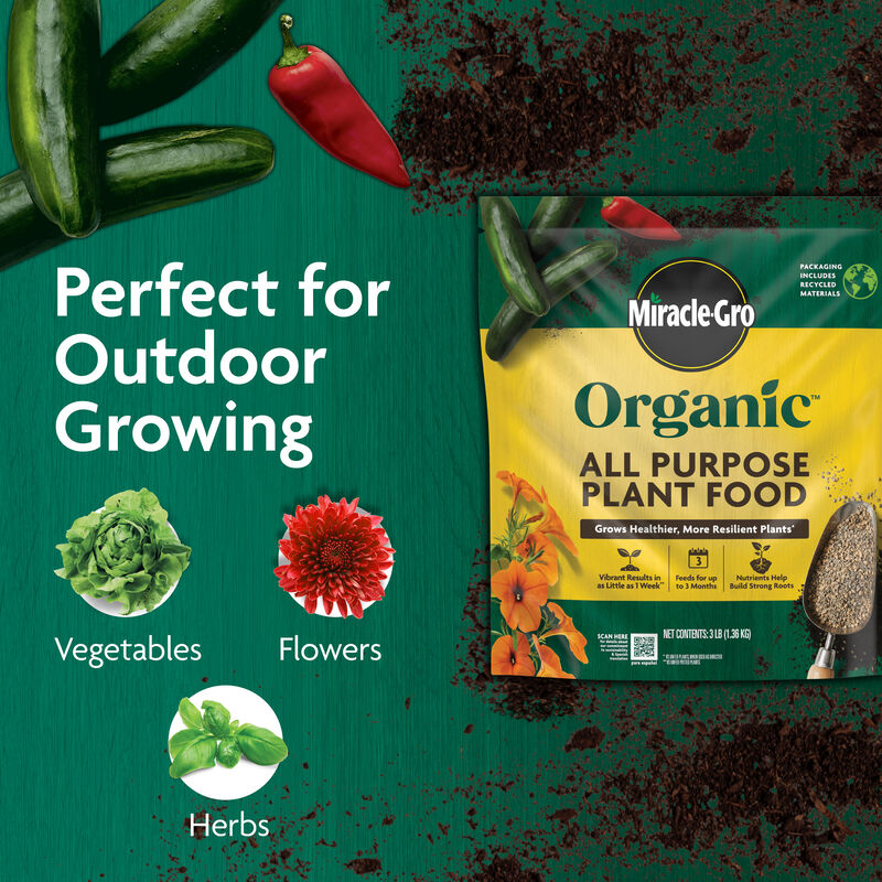 Miracle-Gro Organic&trade; All Purpose Plant Food image number null