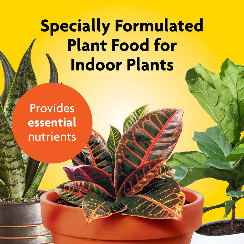 Miracle-Gro&reg; Indoor Plant Food image number null