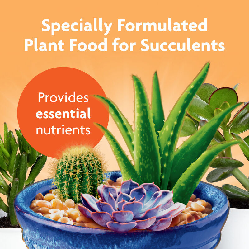 Miracle-Gro&reg; Succulent Plant Food image number null
