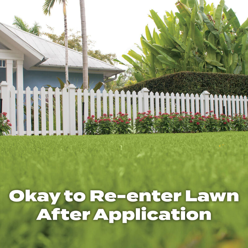 Scotts&reg; Southern Turf Builder&reg; Lawn Food image number null