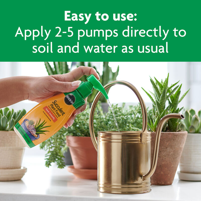 Miracle-Gro&reg; Succulent Plant Food image number null