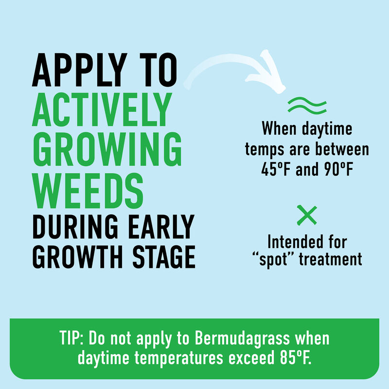 Roundup&reg; For Lawns₁ with QuickHand&trade; Sprayer image number null