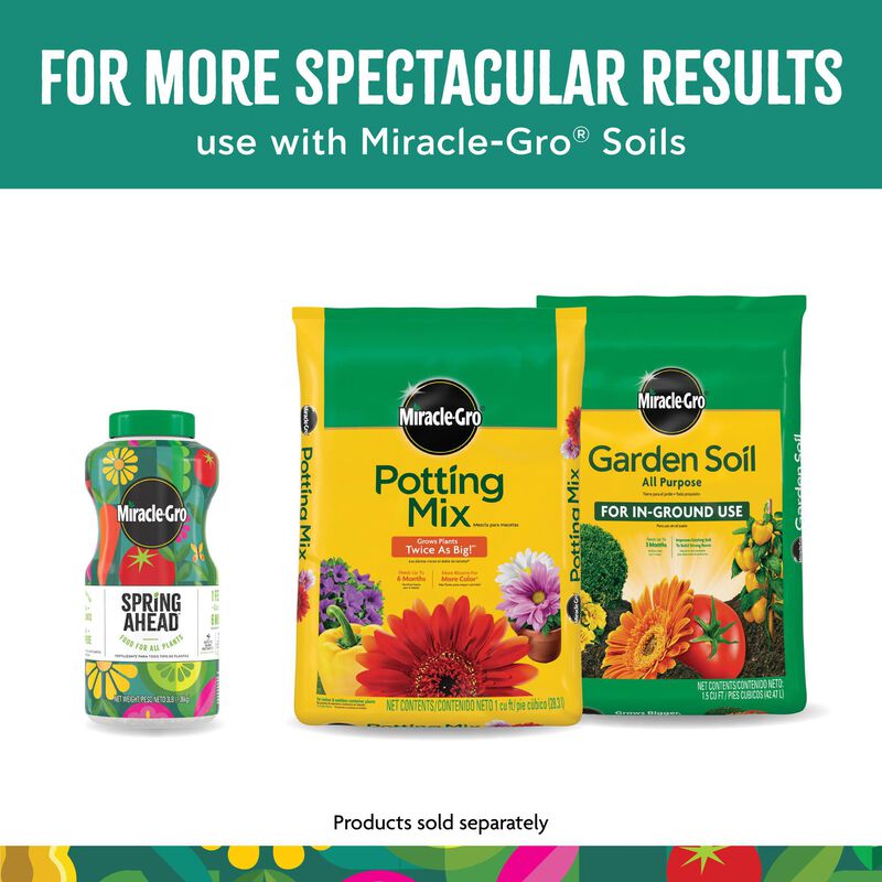 Miracle-Gro&reg; Spring Ahead image number null