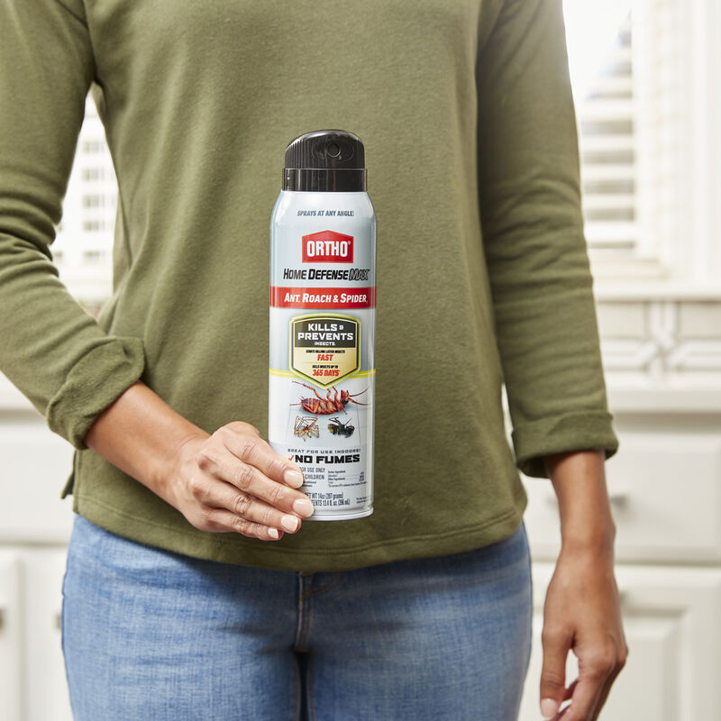 Ortho&reg; Home Defense Max&reg; Ant, Roach & Spider₁ image number null