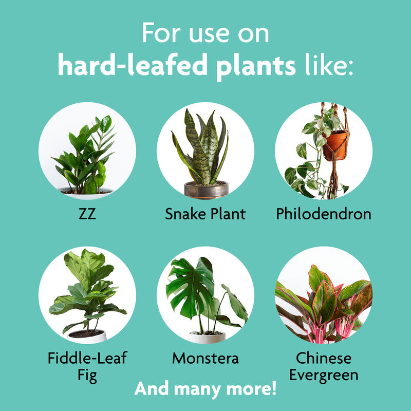 Miracle-Gro&reg; Leaf Shine image number null