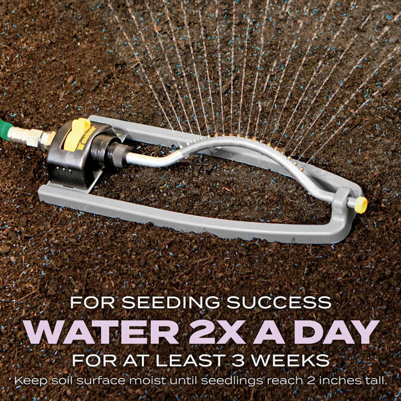 Scotts&reg; Turf Builder&reg; Grass Seed Perennial Ryegrass Mix image number null