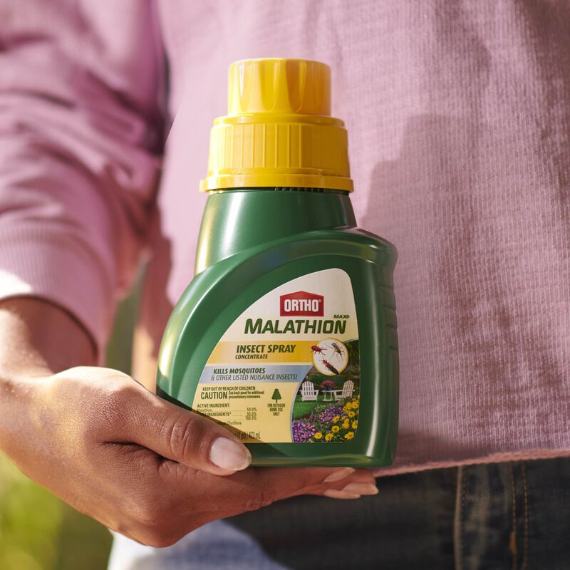 Ortho&reg; MAX&reg; Malathion Insect Spray Concentrate image number null