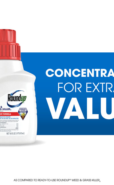 Roundup&reg; Weed & Grass Killer₄ Concentrate