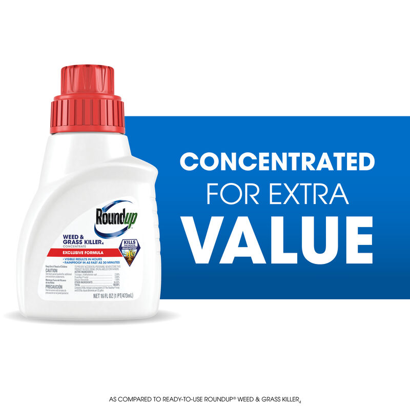 Roundup&reg; Weed & Grass Killer₄ Concentrate image number null