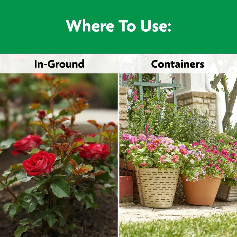 Miracle-Gro&reg; Shake 'n Feed Rose & Bloom Plant Food image number null