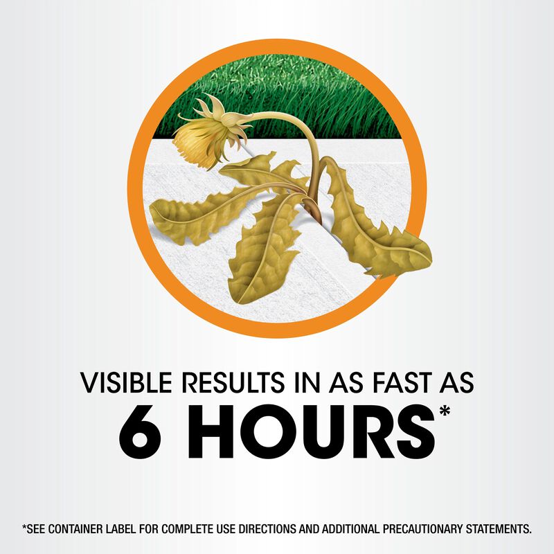 Roundup&reg; Poison Ivy Plus Tough Brush Killer₂ with Comfort Wand&reg; image number null