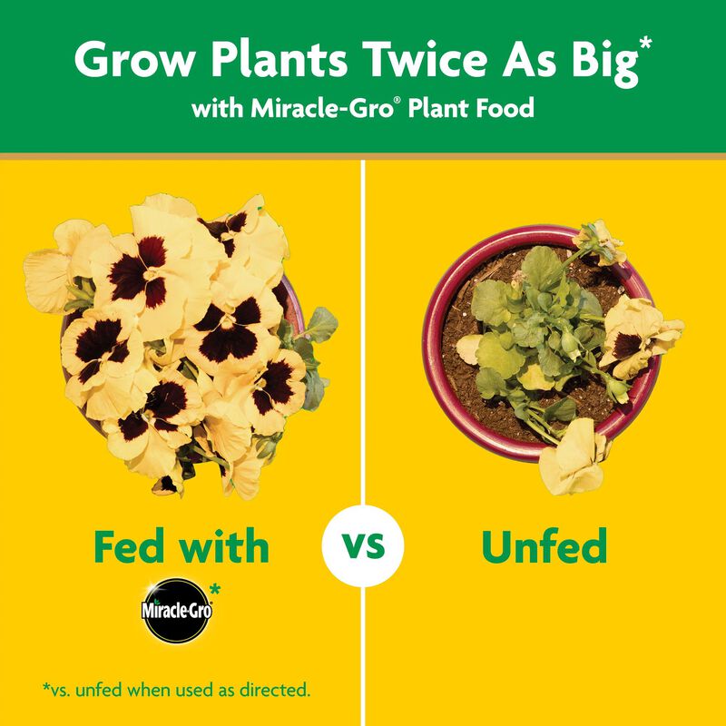 Miracle-Gro&reg; Garden Feeder image number null