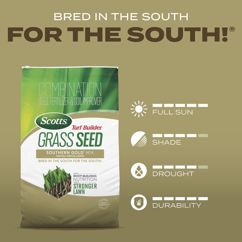 Scotts&reg; Turf Builder&reg; Grass Seed Southern Gold&reg; Mix for Tall Fescue Lawns image number null