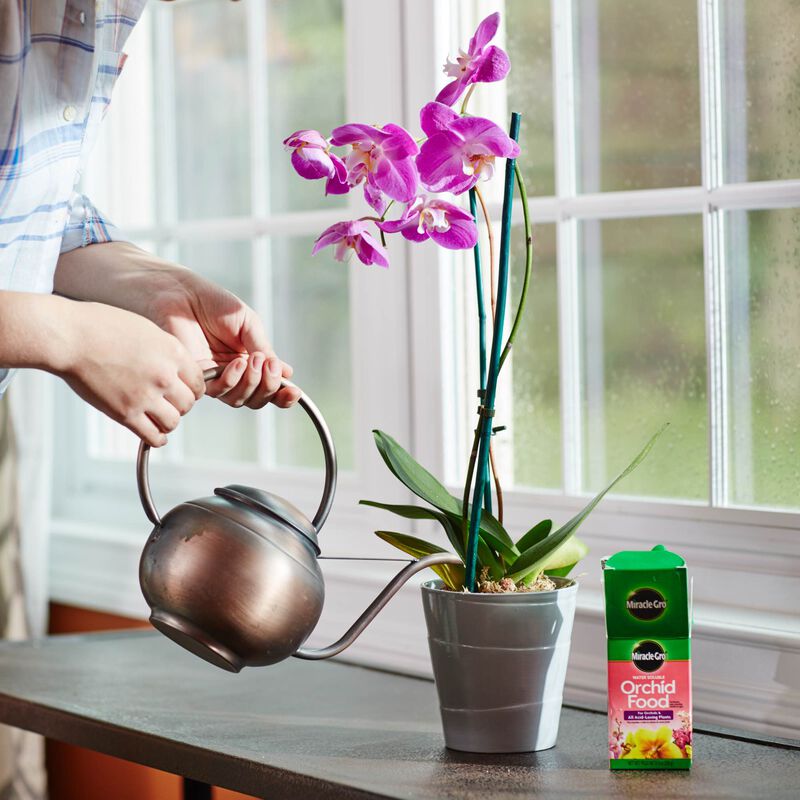 Miracle-Gro&reg; Water Soluble Orchid Food image number null