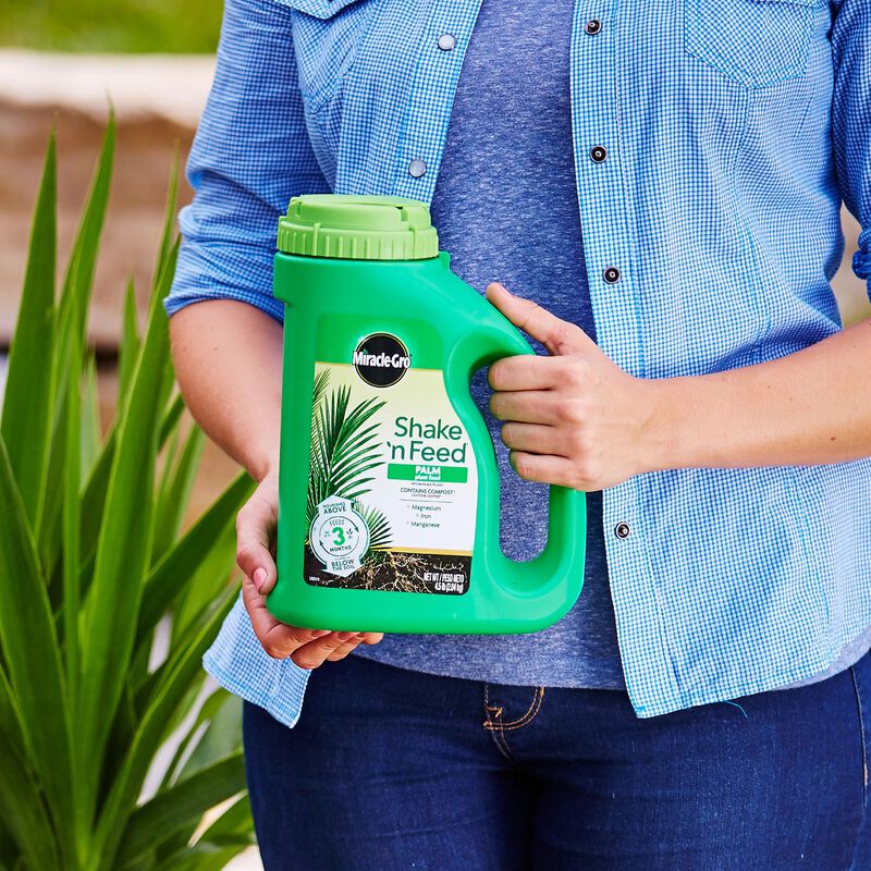 Miracle-Gro&reg; Shake 'N Feed Palm Plant Food image number null